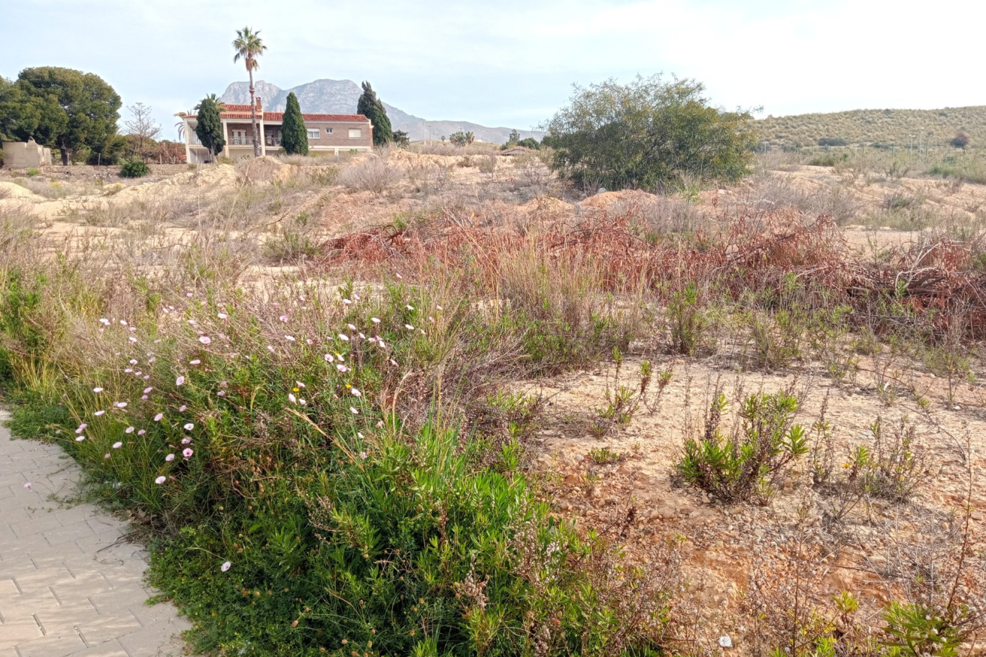 Revente - Parcelle / Terrain - Villajoyosa