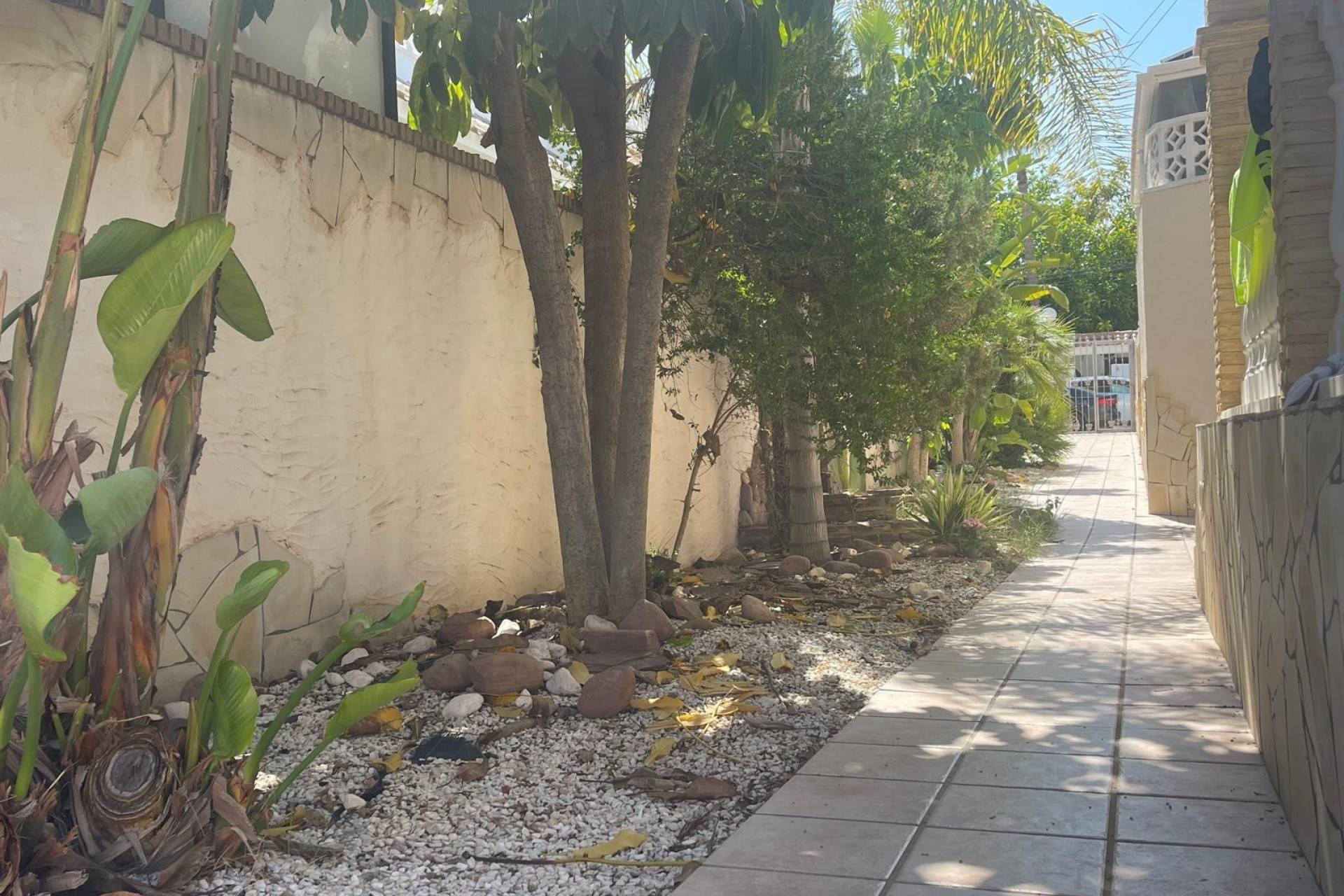 Revente - Pareado - Torrevieja - Torre la mata