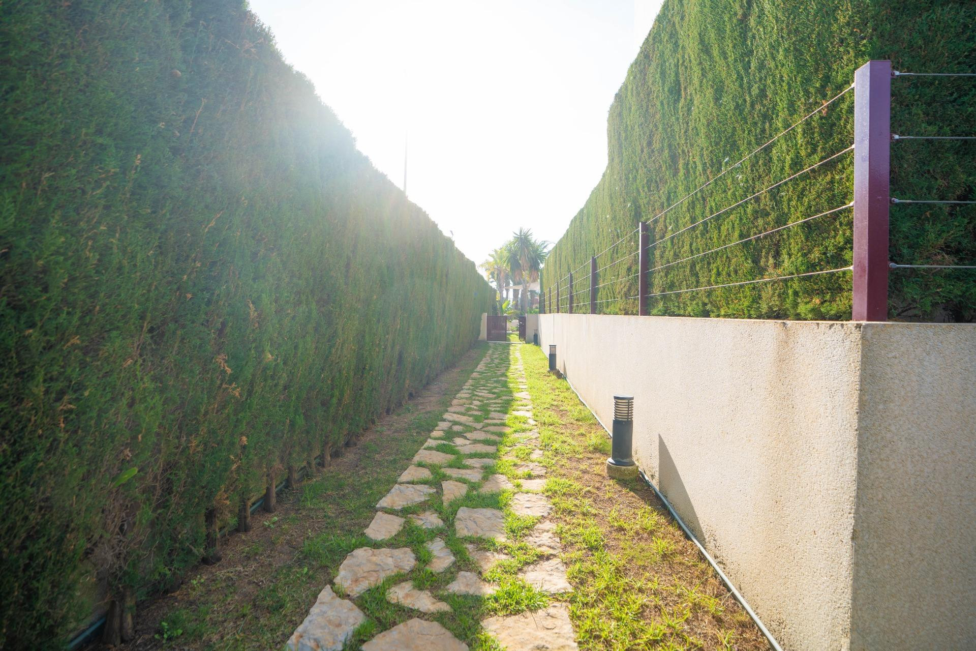 Revente - Penthouse -  Dúplex - Orihuela Costa - Rocio del Mar