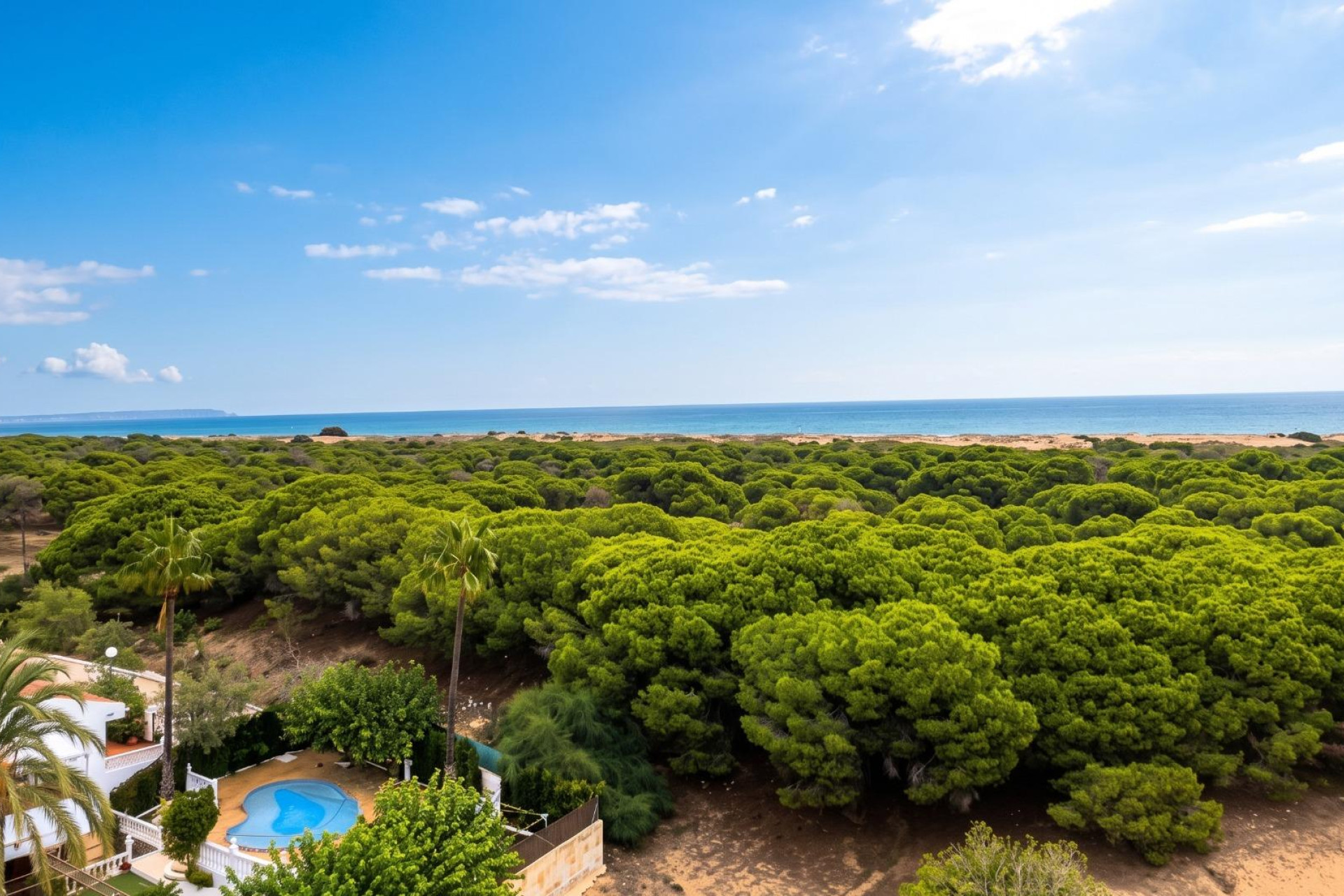 Revente - Studio - Guardamar del Segura - Lomas de Polo-Pinomar