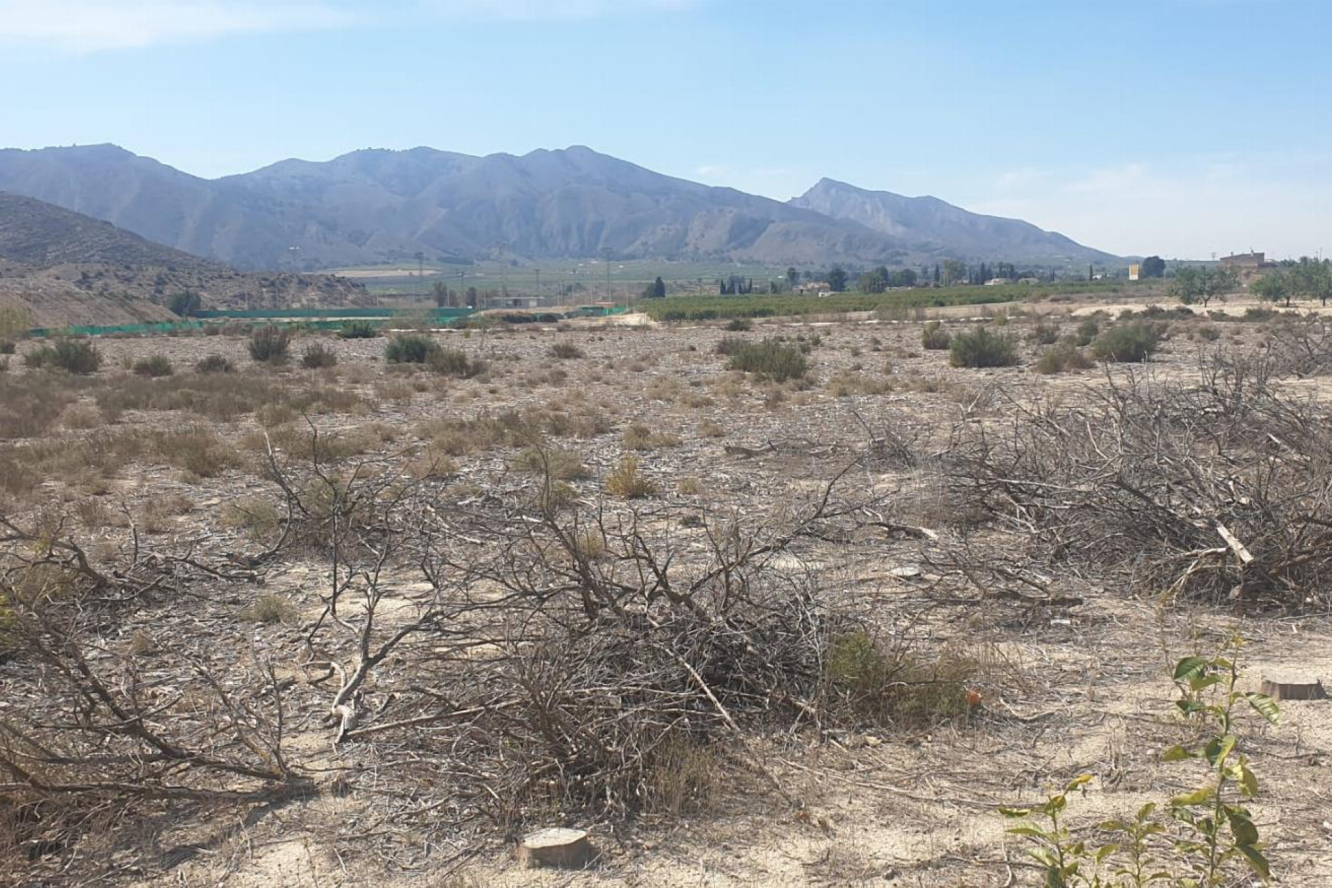 Revente - Terreno - Benferri - HUERTA PUEBLO