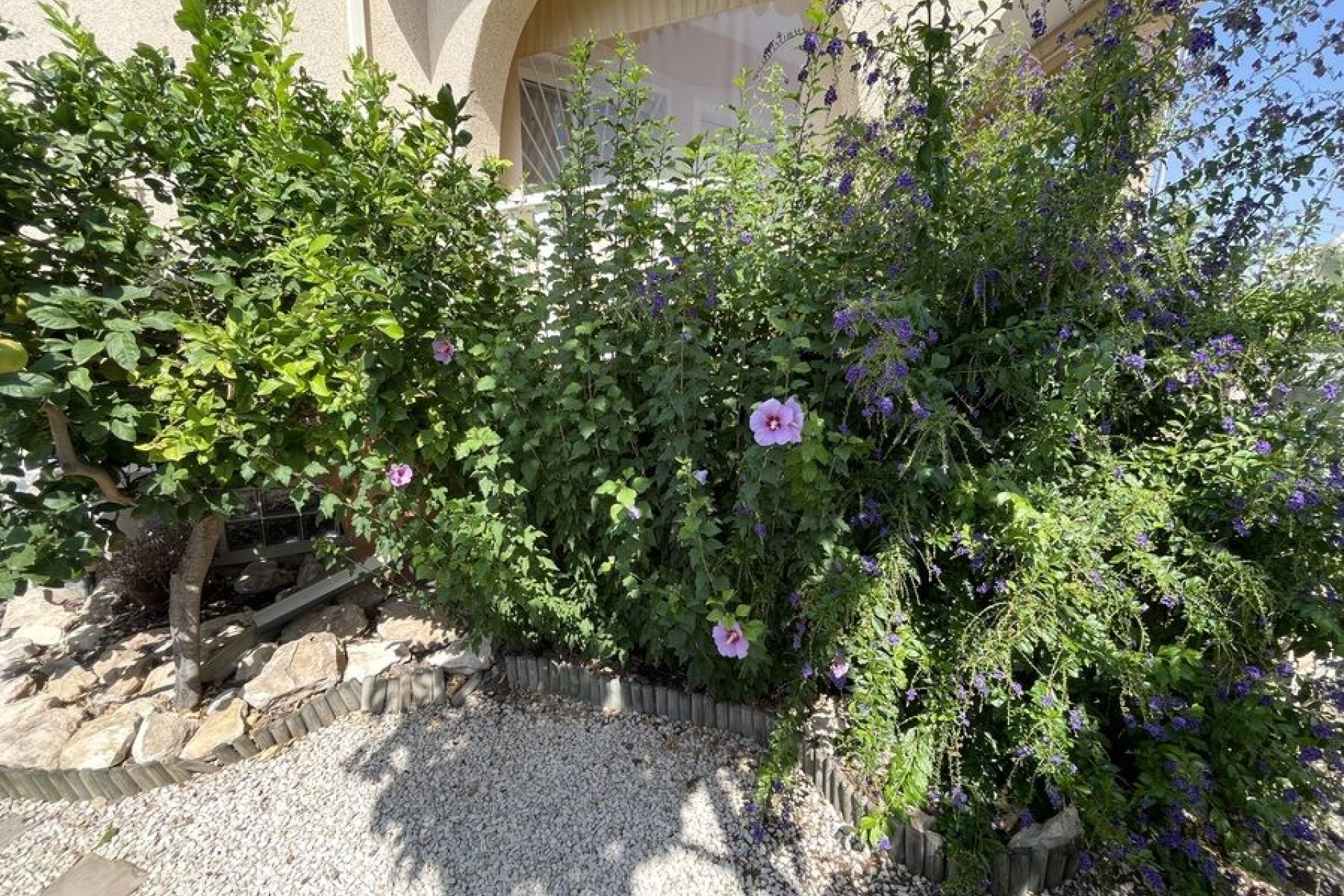 Revente - Villa - Algorfa - Costa blanca sur