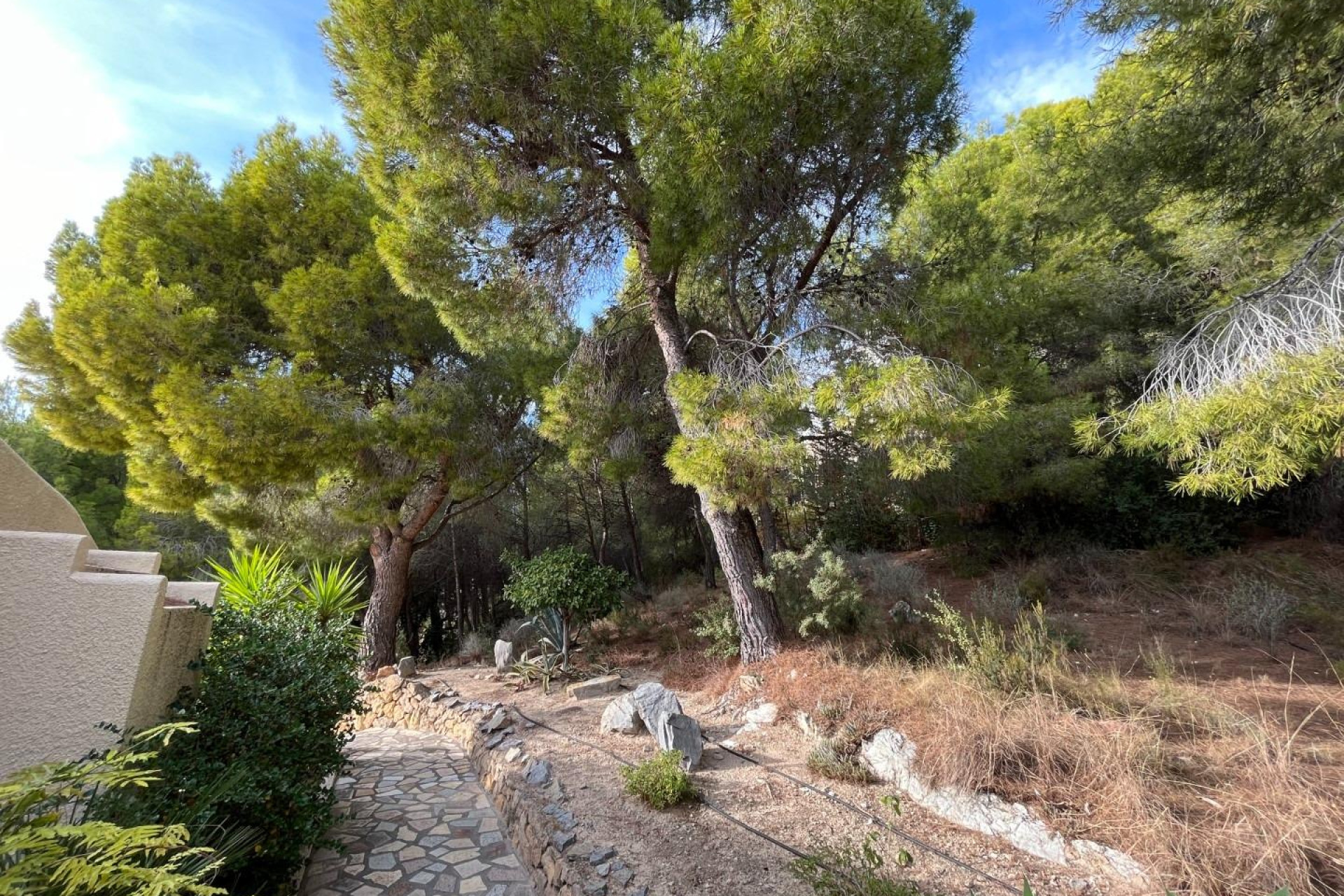 Revente - Villa de Lujo - Altea - Altea La Vella