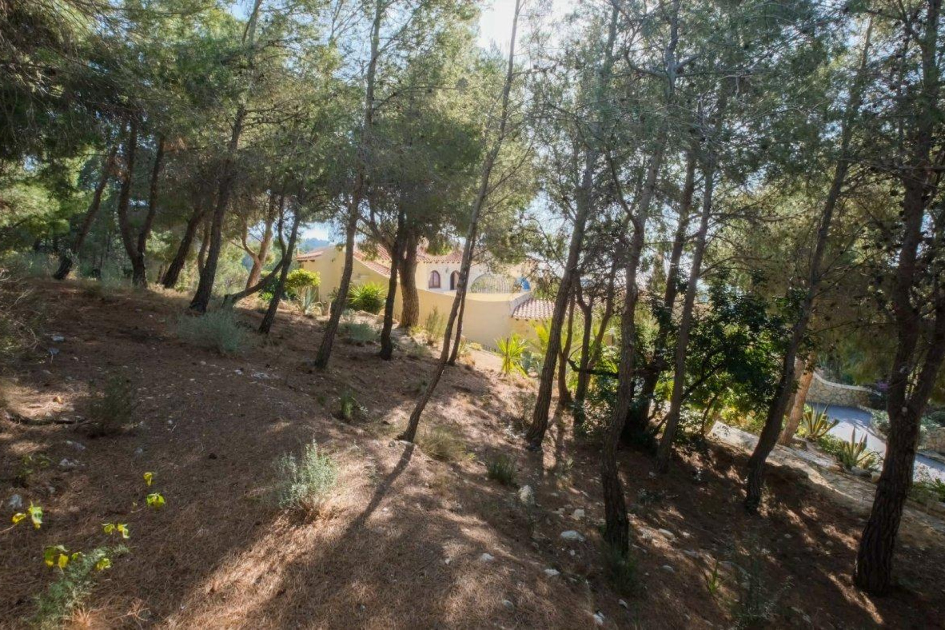 Revente - Villa de Lujo - Altea - Altea La Vella