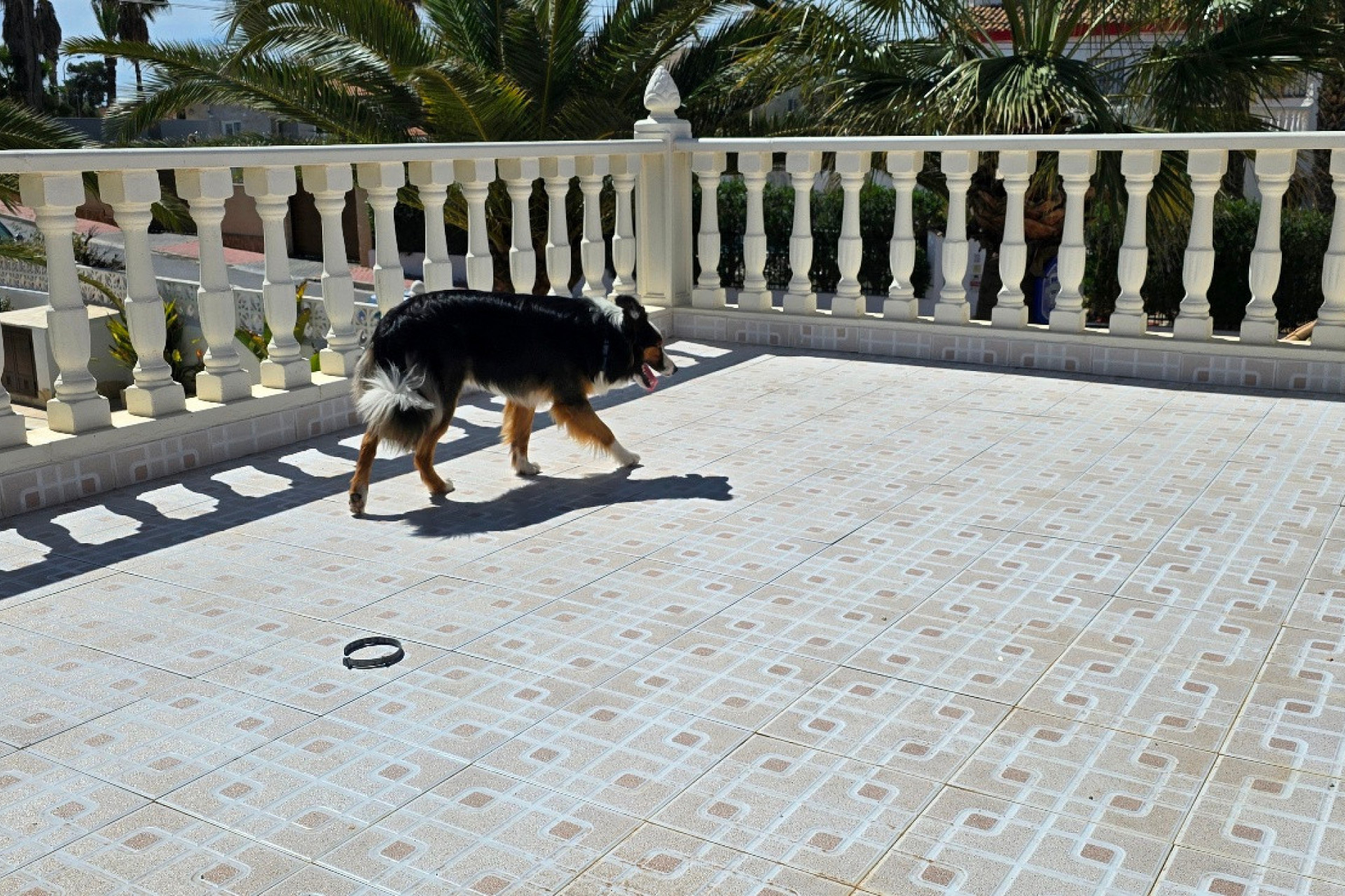 Revente - Villa for sale - Torrevieja - El Chaparral