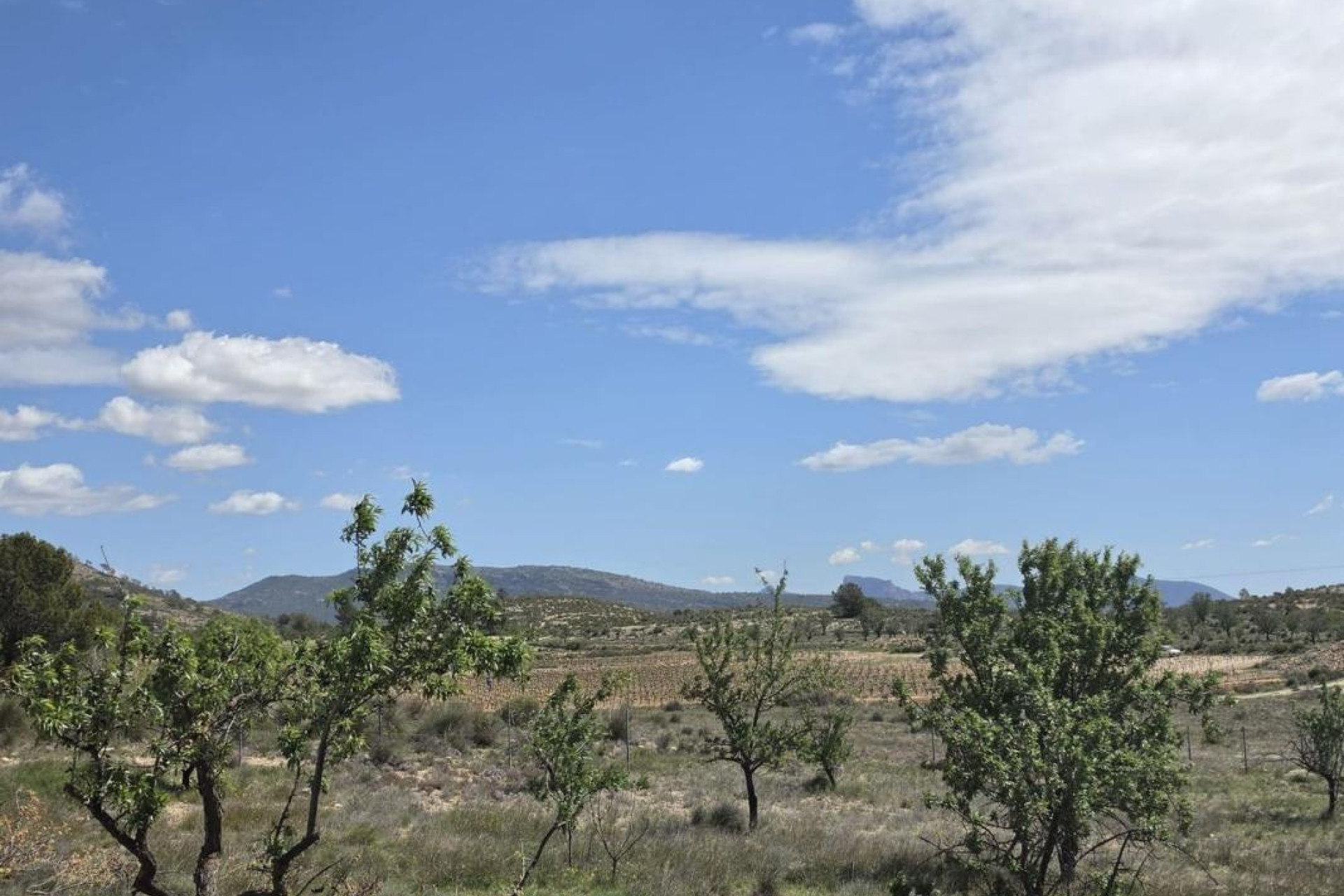 Revente - Villa - Monovar