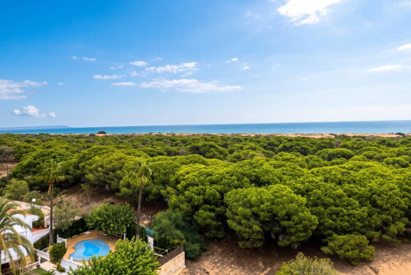 Studio - Herverkoop - Guardamar del Segura - Lomas de Polo-Pinomar