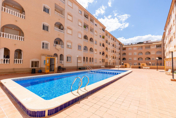 Studio - Resale - Torrevieja - Centro - Muelle Pesquero