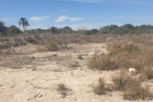Terreno - Herverkoop - Benferri - HUERTA PUEBLO