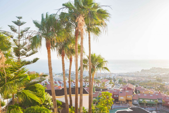 Villa - Herverkoop - Santa Cruz de Tenerife - Finca La Multa