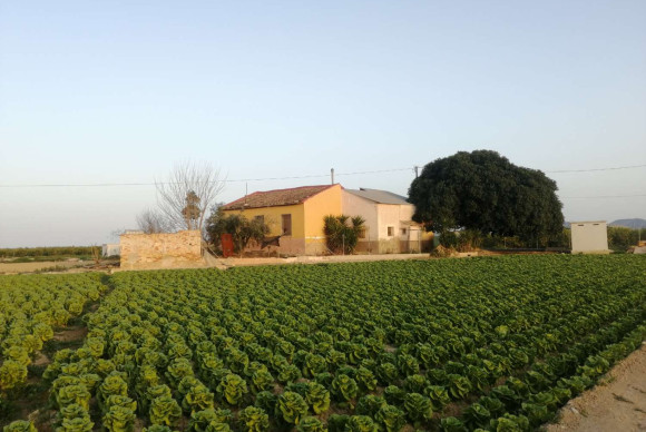 Villa - Reventa - Orihuela Costa - Orihuela