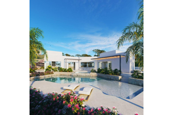 Villas - New Build - Orihuela - 03313