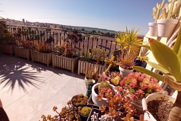 Revente - Maison de ville - Algorfa - La Finca Golf Resort