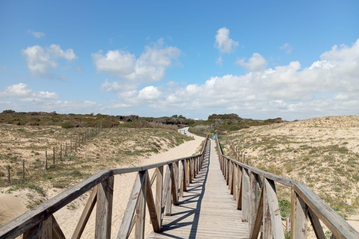 Herverkoop - Appartement - Guardamar del Segura - Urbanizaciones