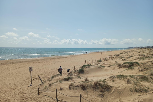 Herverkoop - Appartement - Guardamar del Segura - Urbanizaciones