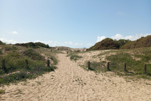 Herverkoop - Appartement - Guardamar del Segura - Urbanizaciones