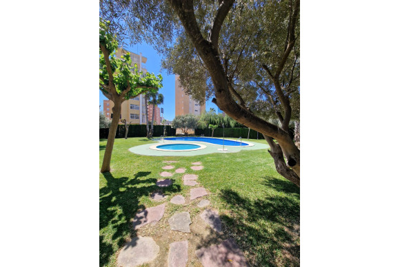 Herverkoop - Appartement  - Guardamar del Segura