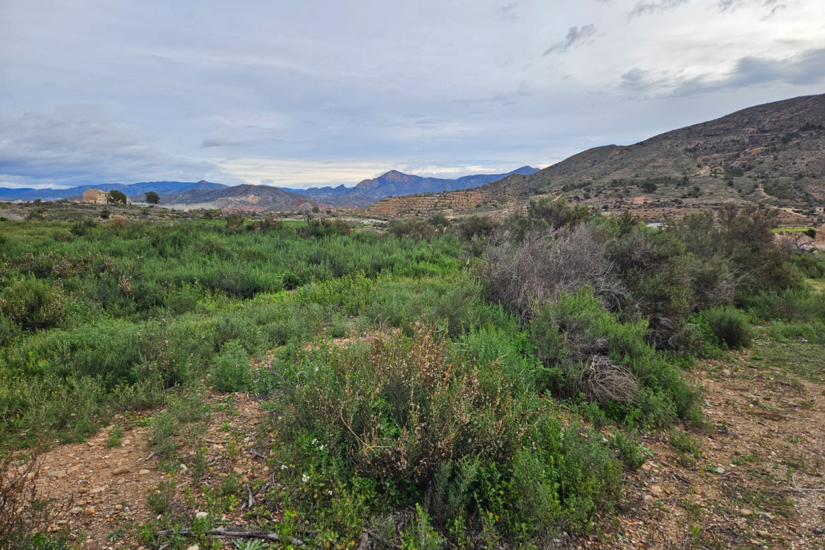 Herverkoop - Landelijke woning - Novelda