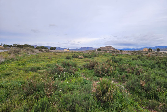 Herverkoop - Landelijke woning - Novelda