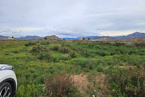 Herverkoop - Landelijke woning - Novelda