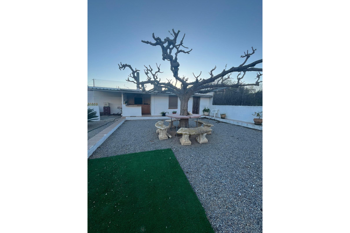 Revente - Country House - ALBATERA - Albatera