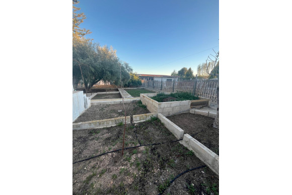 Revente - Country House - ALBATERA - Albatera