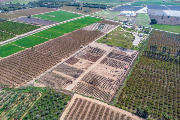 Herverkoop - Landelijke woning - Albatera - Albatera - Country