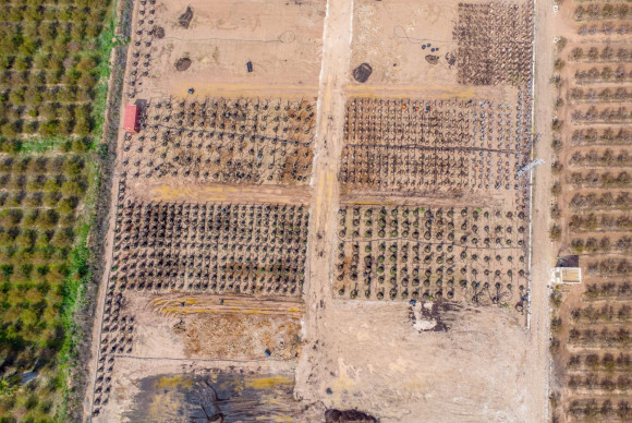 Herverkoop - Landelijke woning - Albatera - Albatera - Country