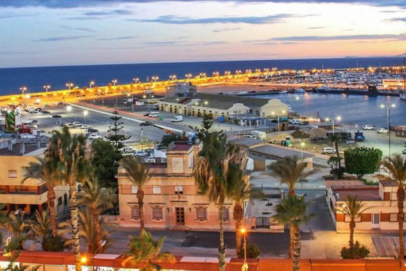 Nouvelle construction - Bungalow - Torrevieja - torrevieja