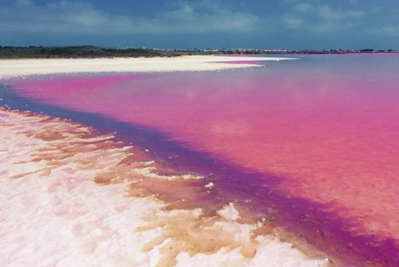 Nouvelle construction - Bungalow - Torrevieja - torrevieja