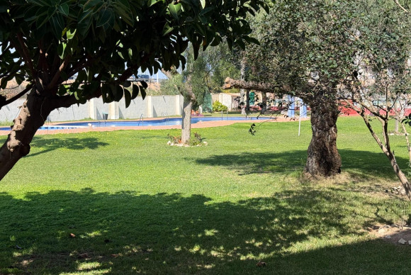 Herverkoop - Appartement  - Torrevieja - Parque de las Naciones