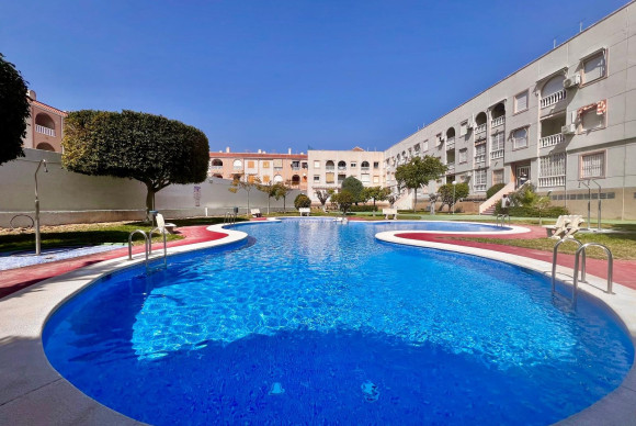 Herverkoop - Appartement  - Torrevieja - Acequion