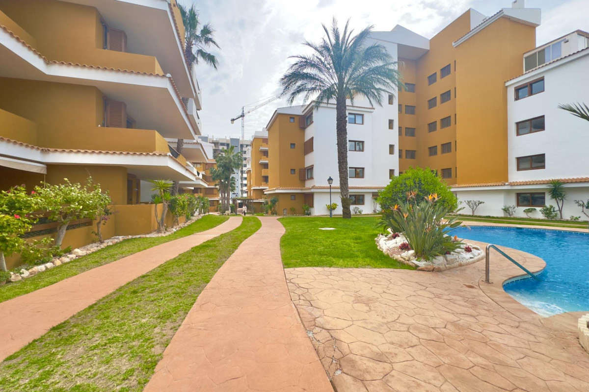 Reventa - Apartamento / piso - Torrevieja - Punta prima