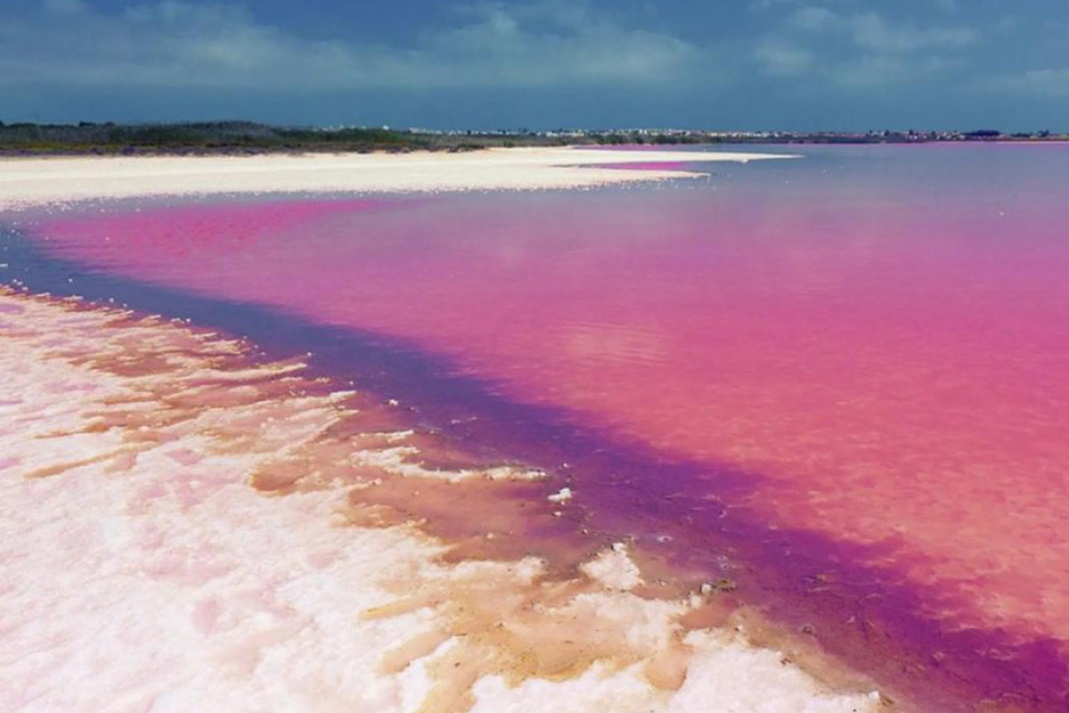 New Build - Bungalow - Torrevieja - torrevieja