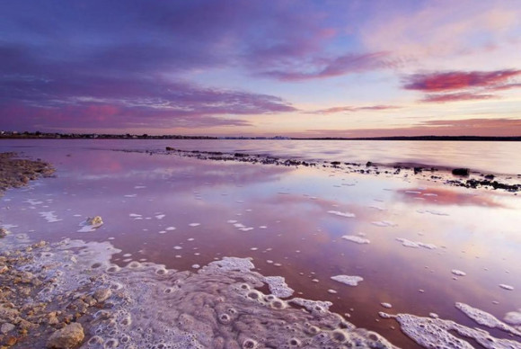 Nieuwbouw - Appartement - Torrevieja - torrevieja