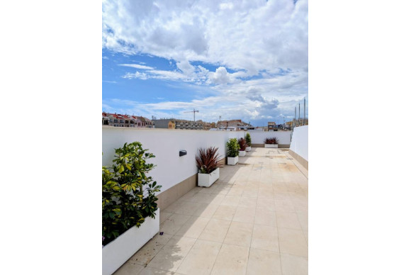 Obra nueva - Apartamento / piso - Torrevieja - torrevieja