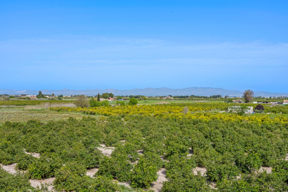 Herverkoop - 1. Apartment / flat - Daya Nueva - Costa Blanca South