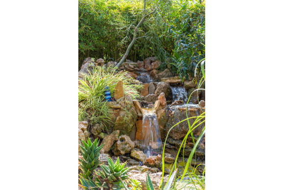 Resale - Country Property - Daya Nueva - Daya Nueva - Country