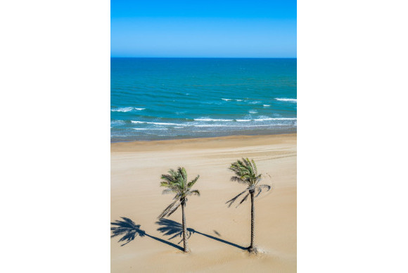 Resale - Apartment  - Guardamar del Segura - Guardamar