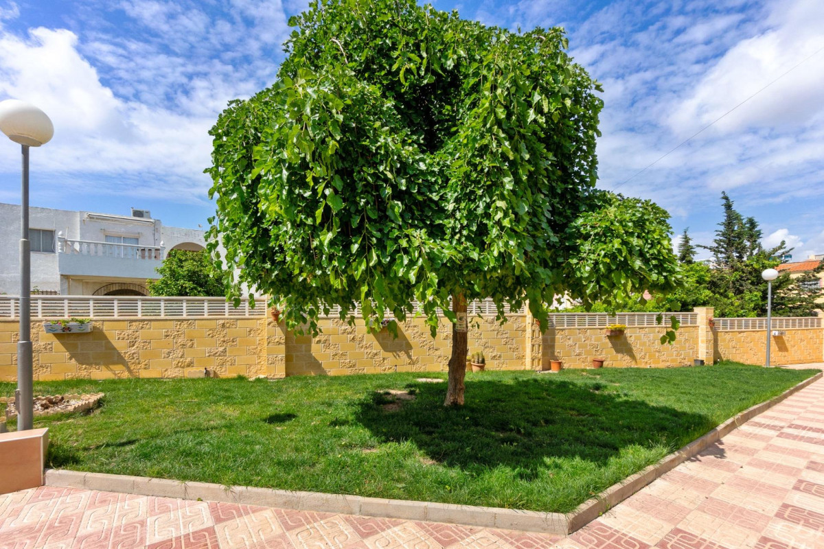 Revente - Appartement - Torrevieja - El Chaparral