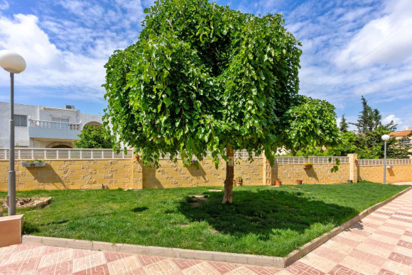 Revente - Appartement - Torrevieja - El Chaparral