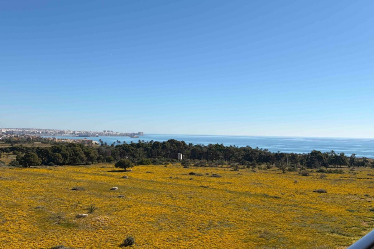 Revente - Appartement - Orihuela Costa - Punta Prima