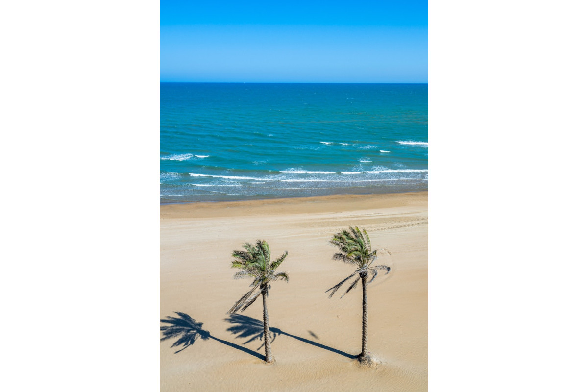 Revente - Appartement - Guardamar del Segura - Guardamar del Segura - Town