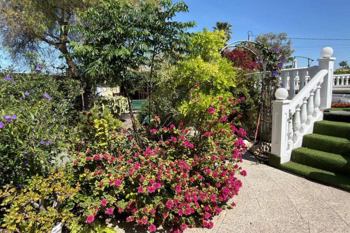 Resale - Finca / Country Property - Catral