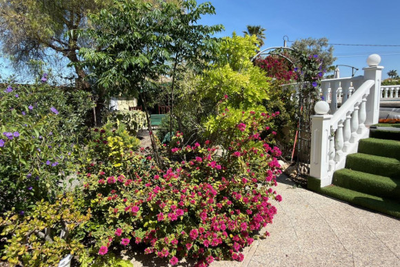 Resale - Finca / Country Property - Catral