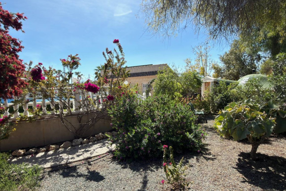 Resale - Finca / Country Property - Catral