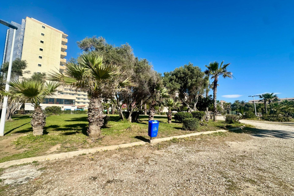 Revente - Appartement - Torrevieja - Cabo cervera