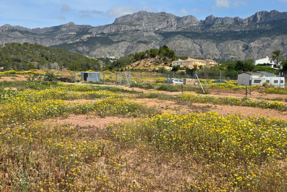 Resale - rustic plot - Altea - Olla Altea