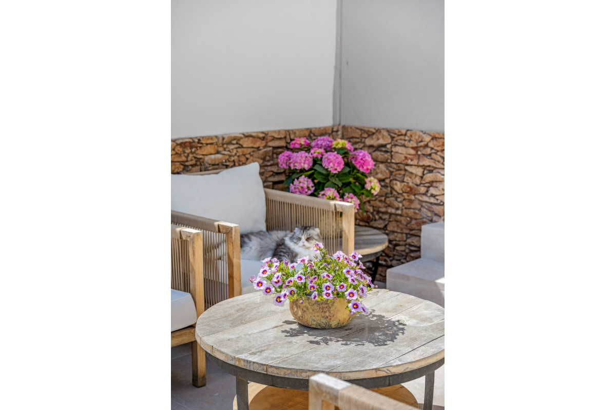 Revente - Maison de ville - Alicante - Playa San Juan