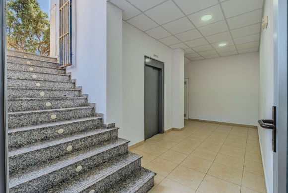 Revente - Business local - Torrevieja - Nueva Torrevieja - Aguas Nuevas